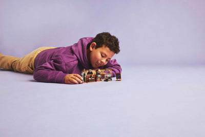 LEGO Harry Potter Zwerkbal Zaal van Zweinstein - 76442