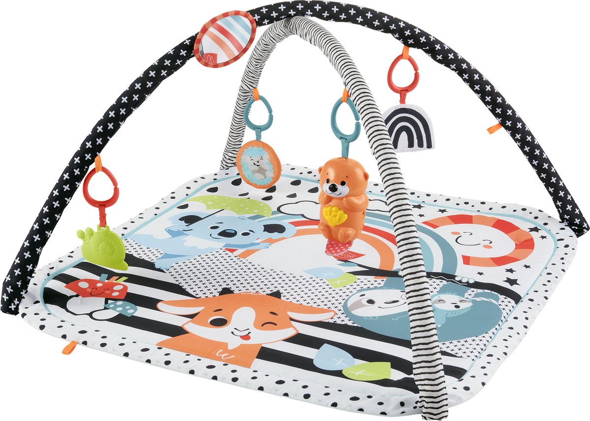 Fisher-Price 3-in-1 Sensorisch Speelkleed