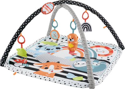 Fisher-Price 3-in-1 Sensorisch Speelkleed