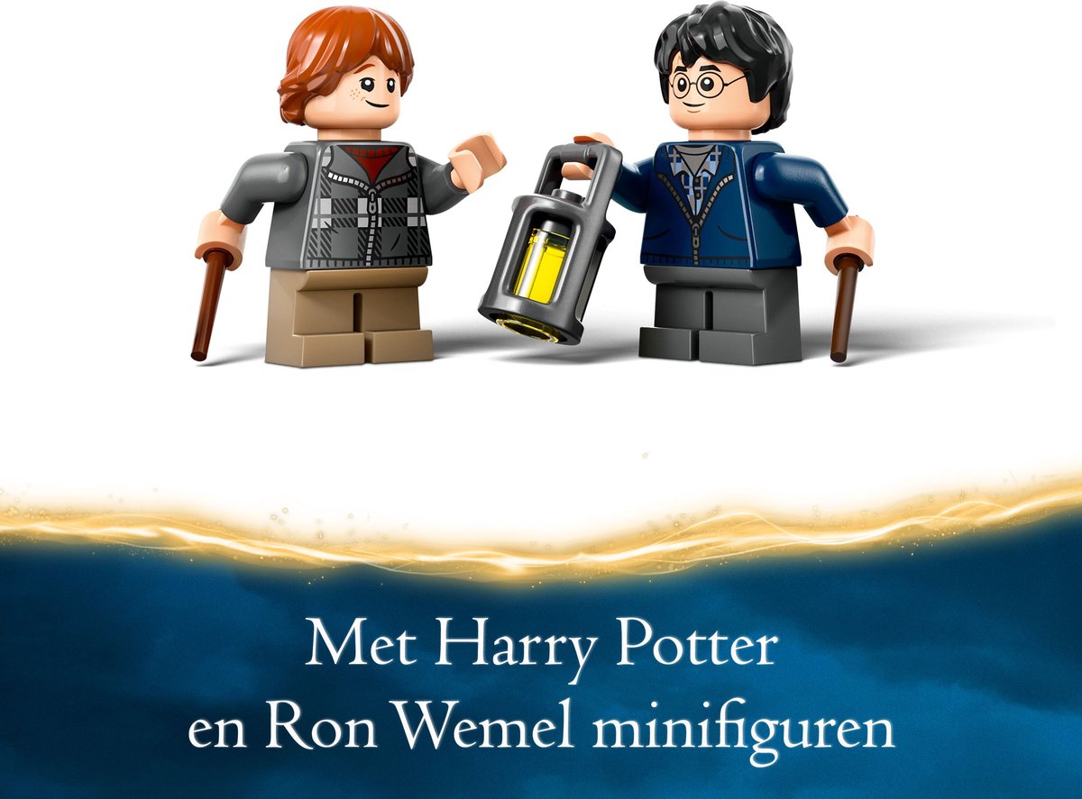LEGO Harry Potter Aragog in het Verboden Bos - 76434