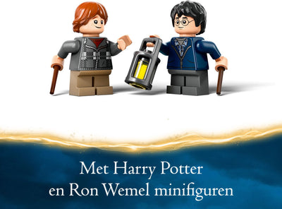 LEGO Harry Potter Aragog in het Verboden Bos - 76434