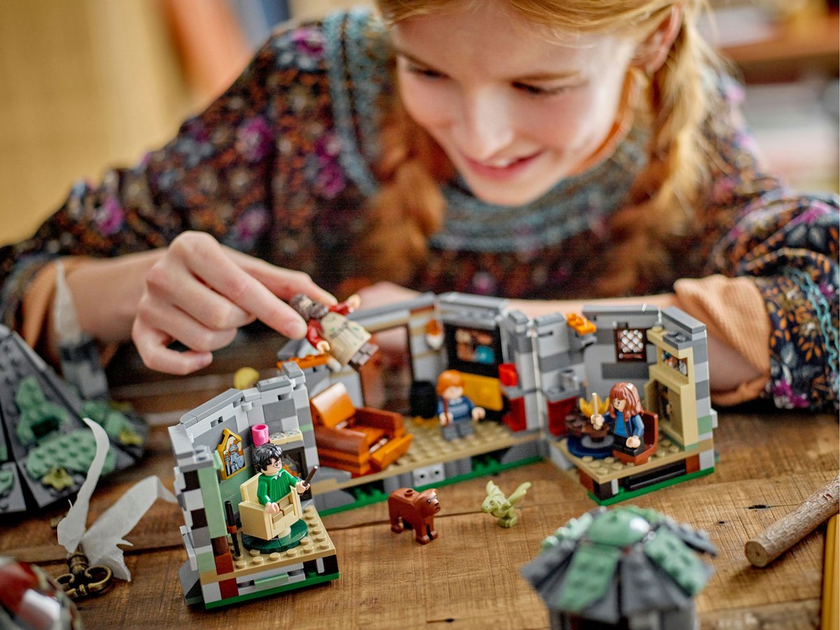 LEGO Harry Potter Hagrids Huis: Onverwachte Bezoeker - 76428