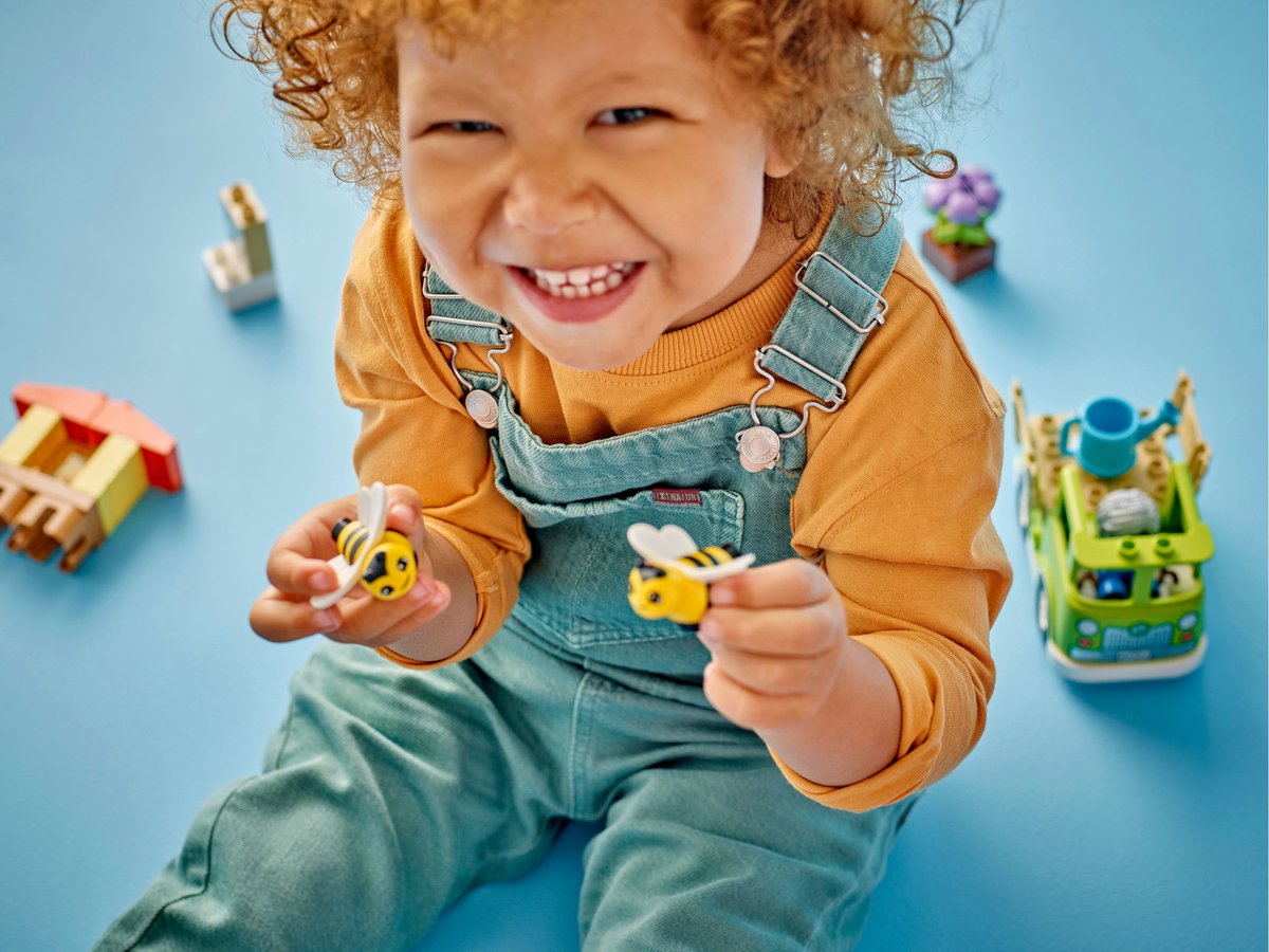 LEGO DUPLO Bijen en Rijken - 10419