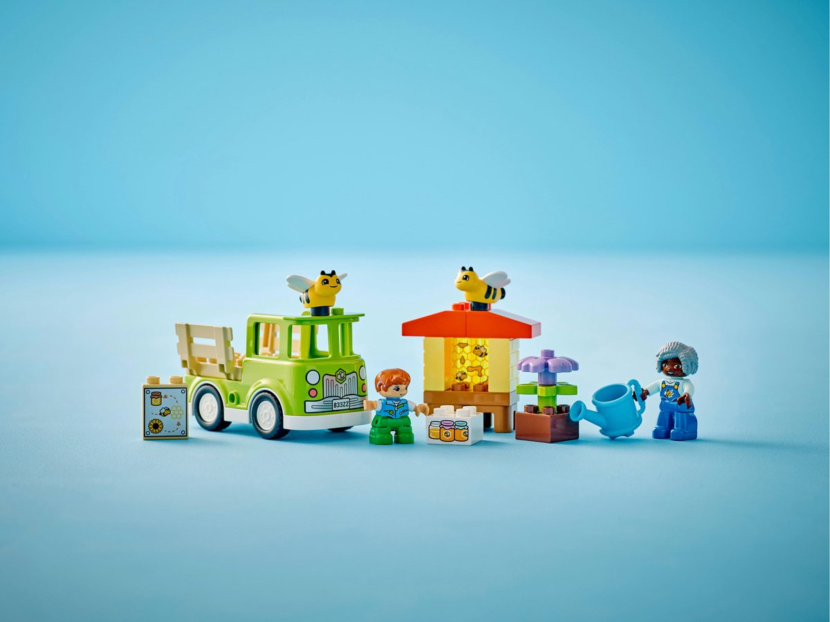 LEGO DUPLO Bijen en Rijken - 10419