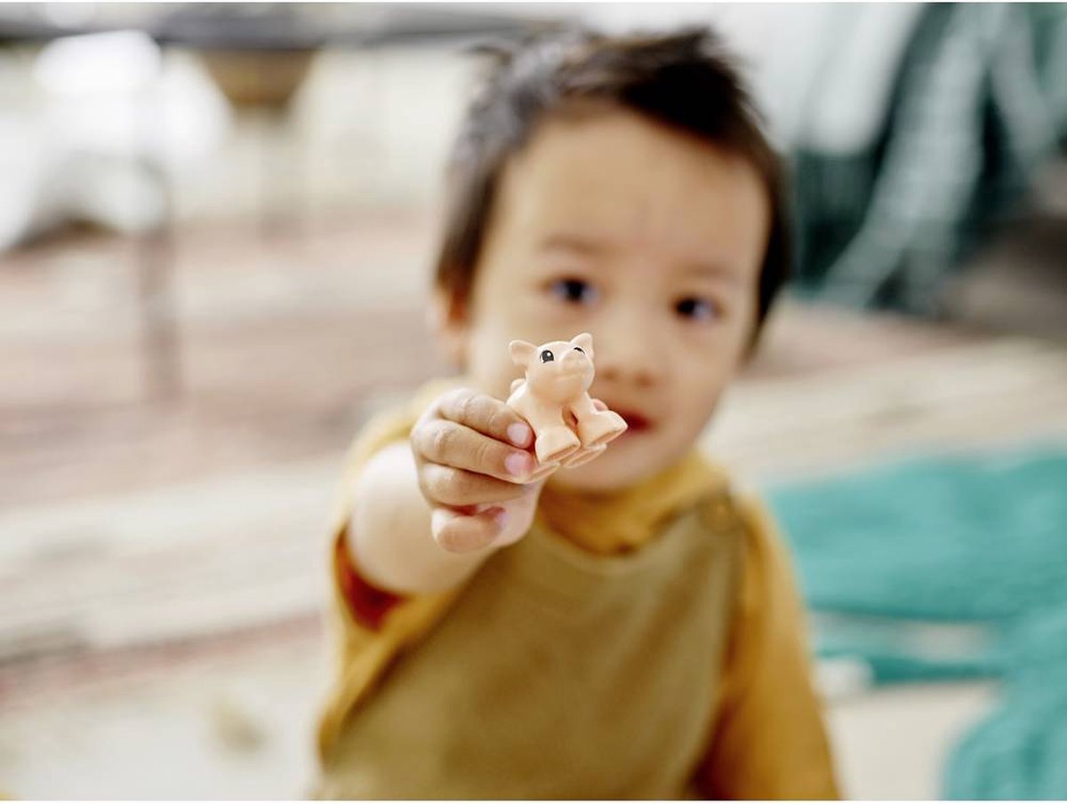 LEGO DUPLO Stad - Boerderijdieren Set - 10949