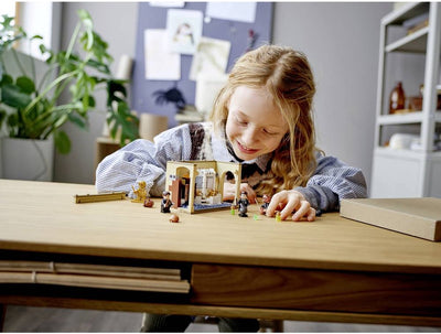 LEGO Harry Potter Poudlard: Fout van de Wisseldrank - 76386