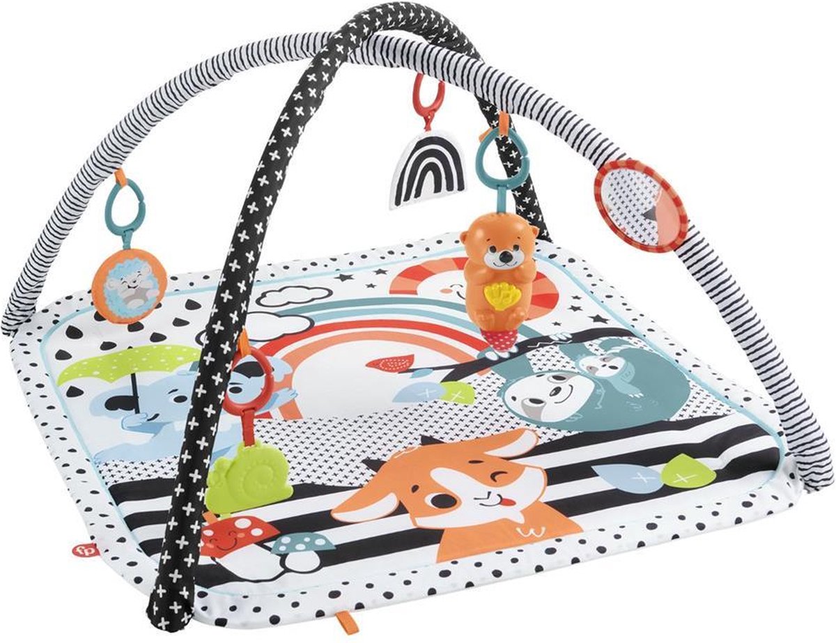 Fisher-Price 3-in-1 Sensorisch Speelkleed