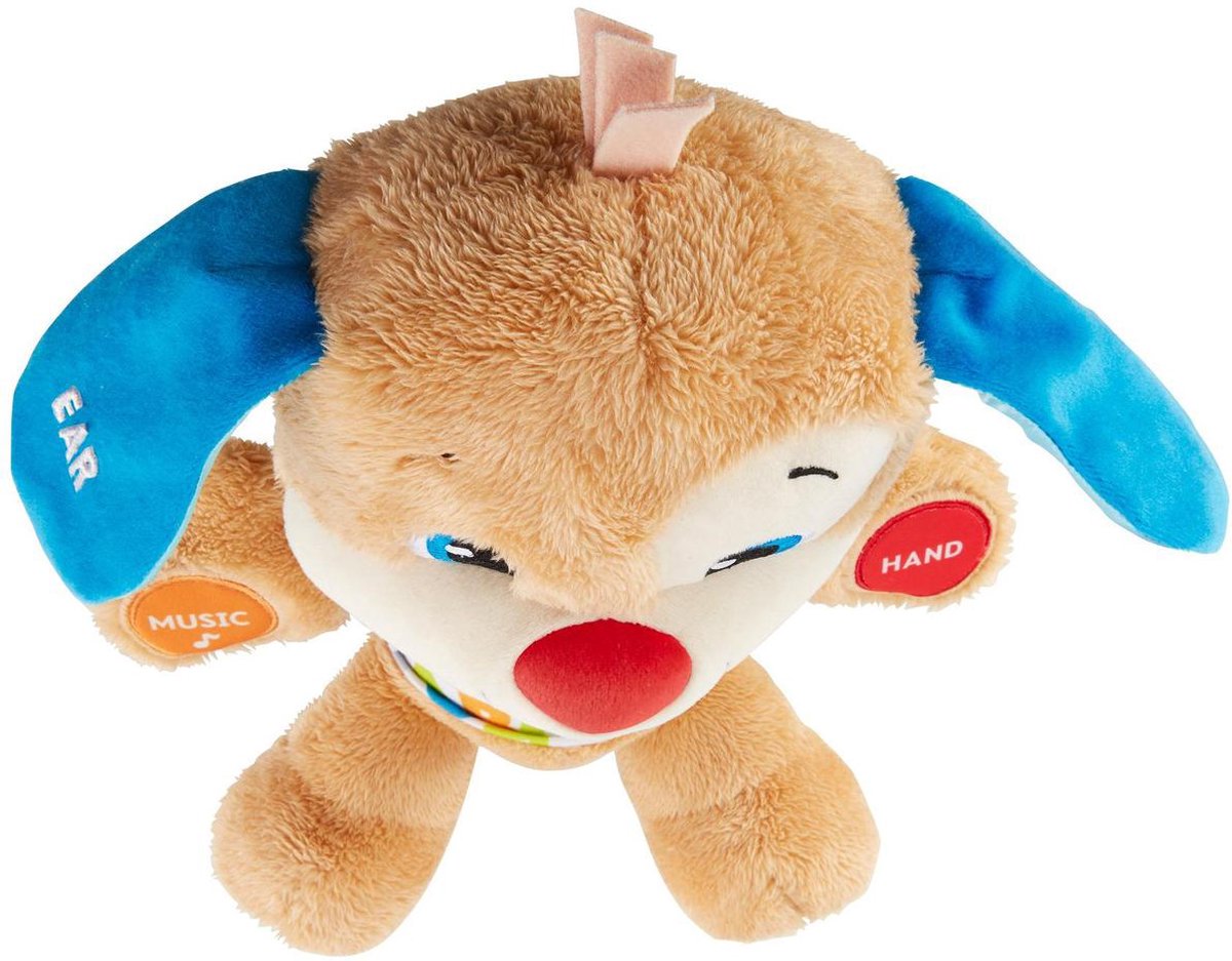 Fisher-Price Leerplezier Eerste Woorden Puppy - Interactief