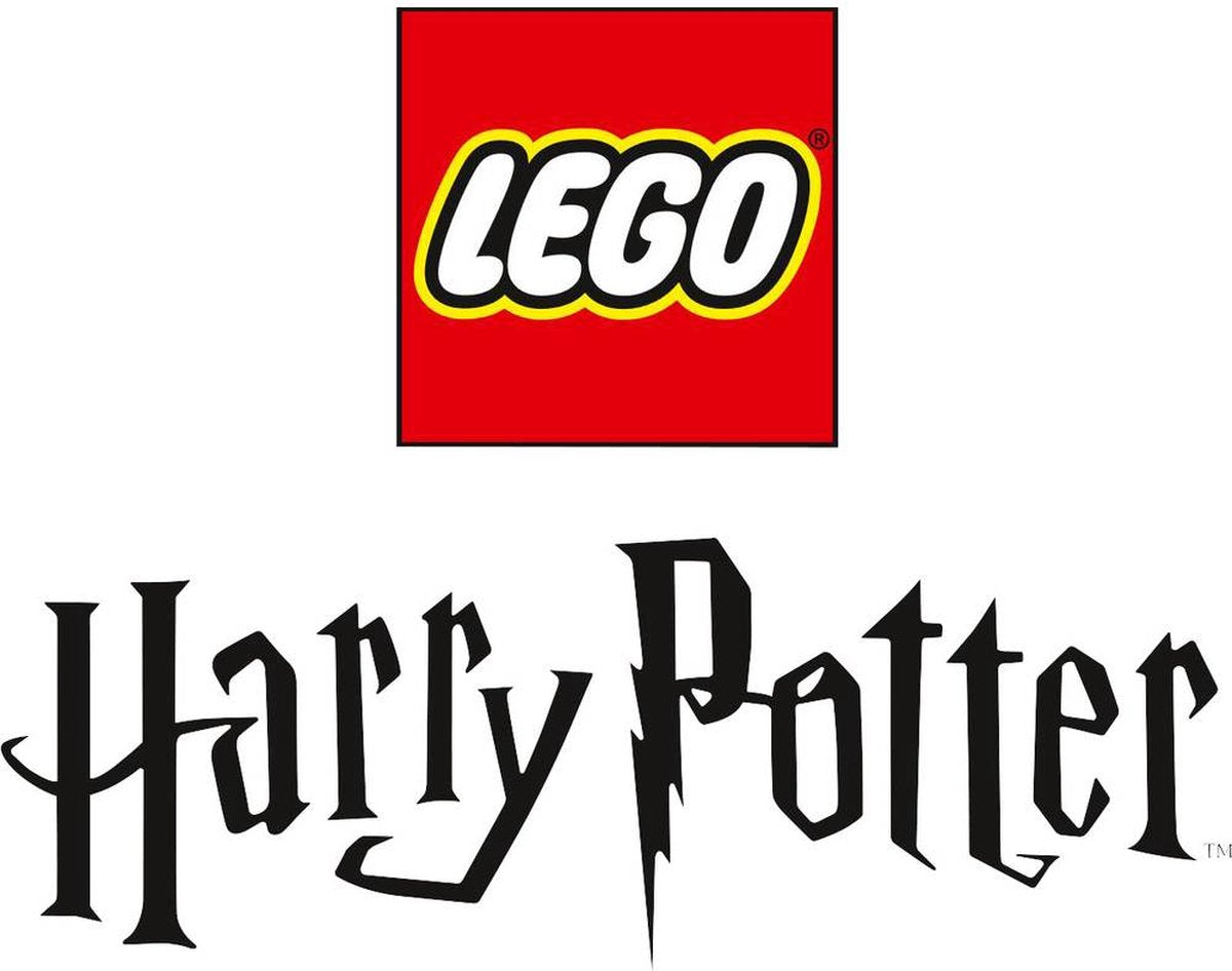 LEGO Harry Potter Poudlard: Fout van de Wisseldrank - 76386