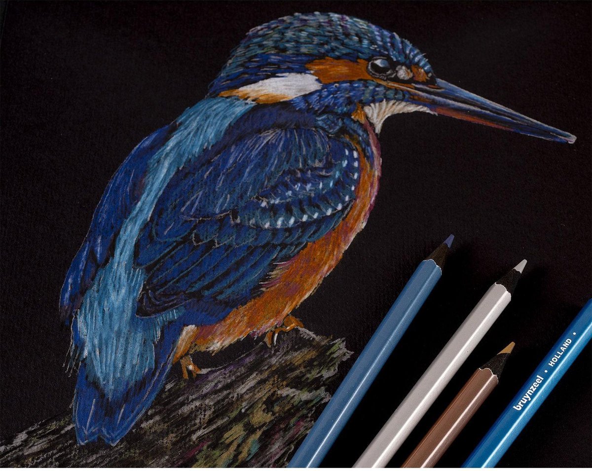 BRUYNZEEL 70-delige Kleurenset: Potloden & Accessoires