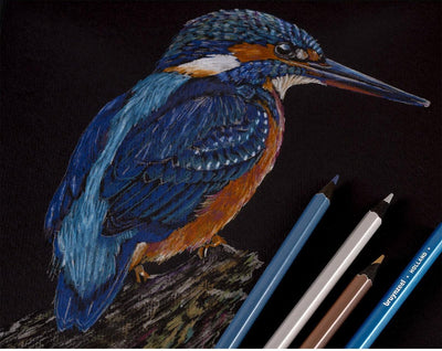 BRUYNZEEL 70-delige Kleurenset: Potloden & Accessoires