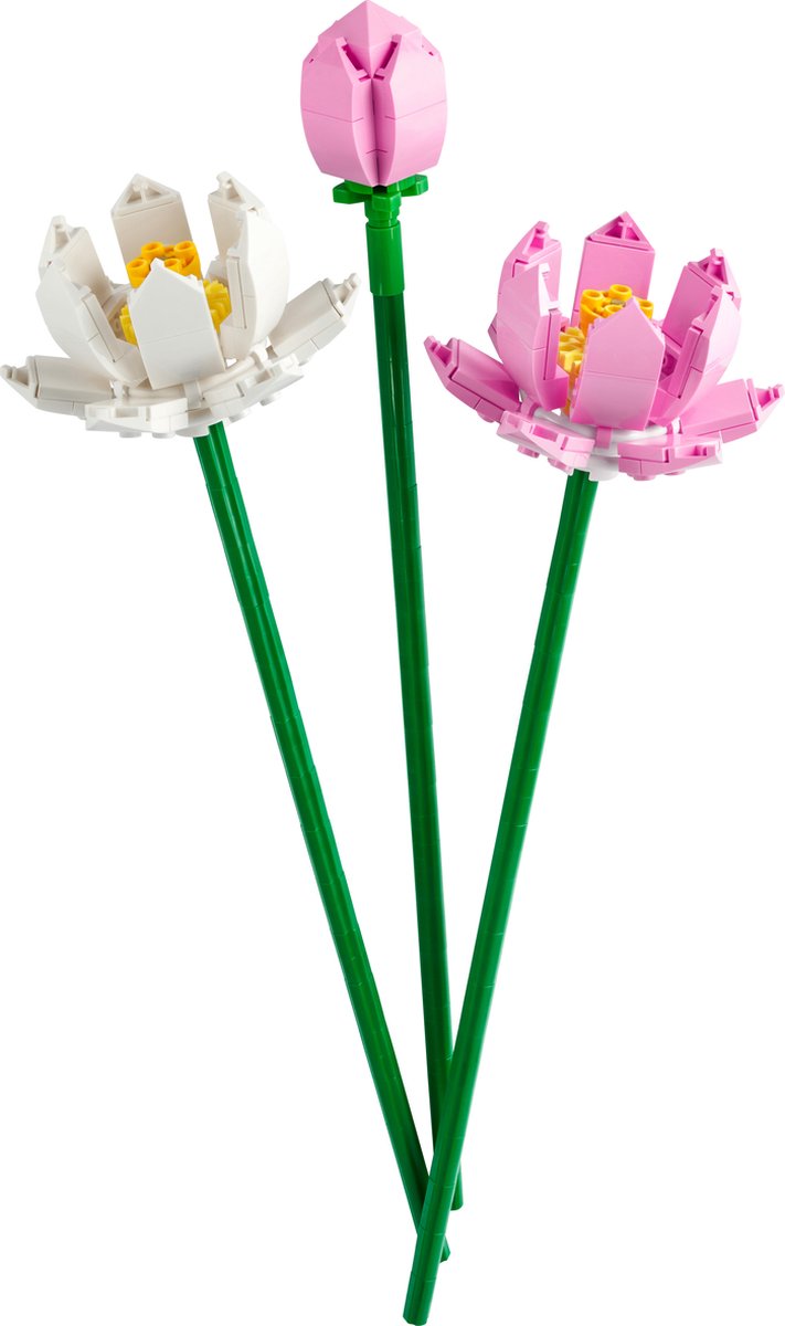 LEGO Lotus Bloemen Creatieve Set - 40647