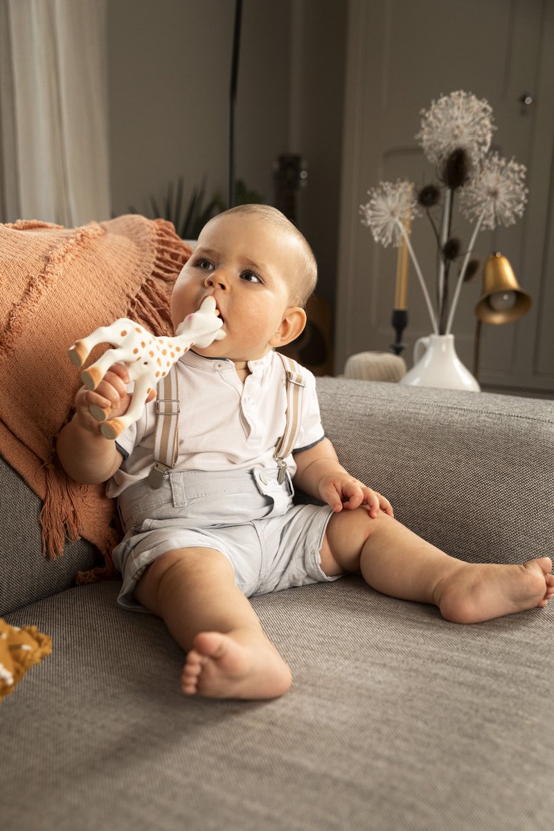 Sophie de Giraf Baby Speelgoed in Luxe Cadeauset