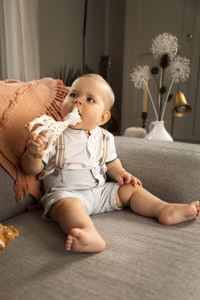 Sophie de Giraf Baby Speelgoed in Luxe Cadeauset