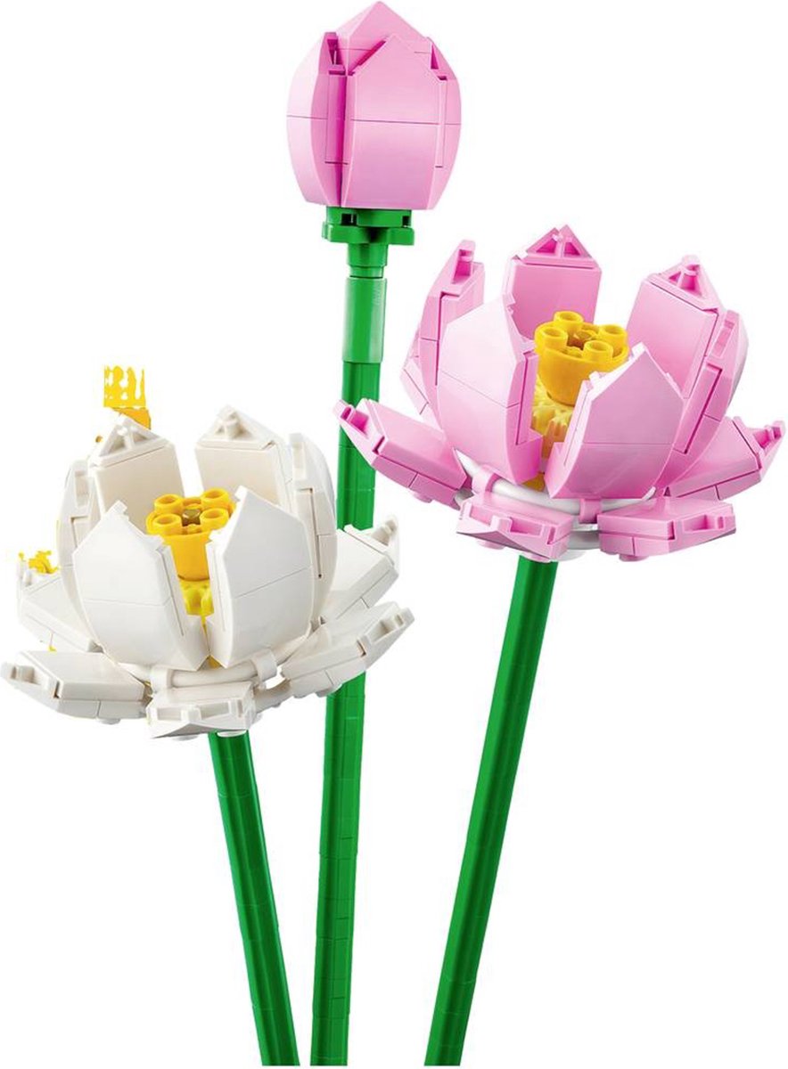 LEGO Lotus Bloemen Creatieve Set - 40647