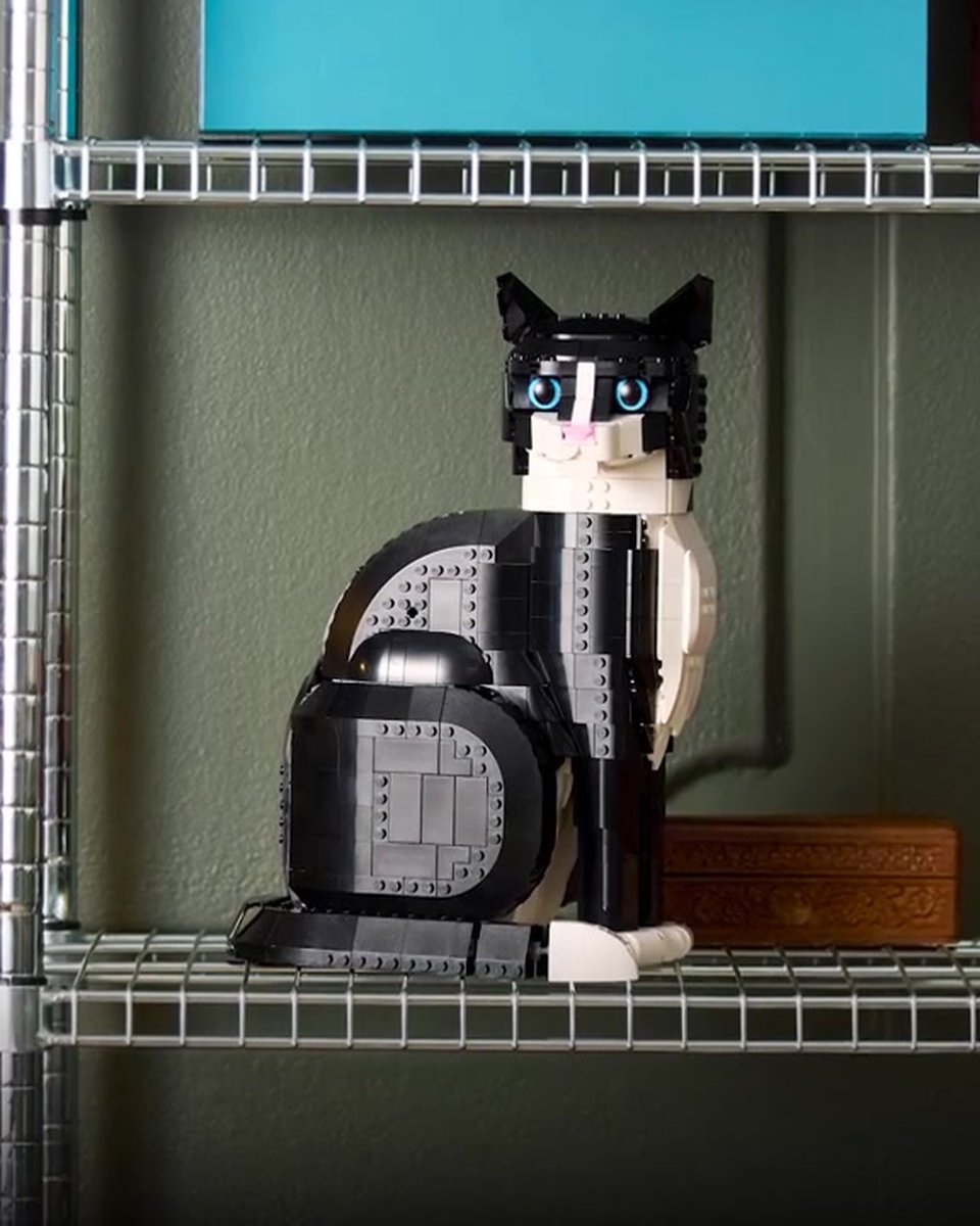 LEGO Ideas Zwart-witte Chat Creaties - 21349