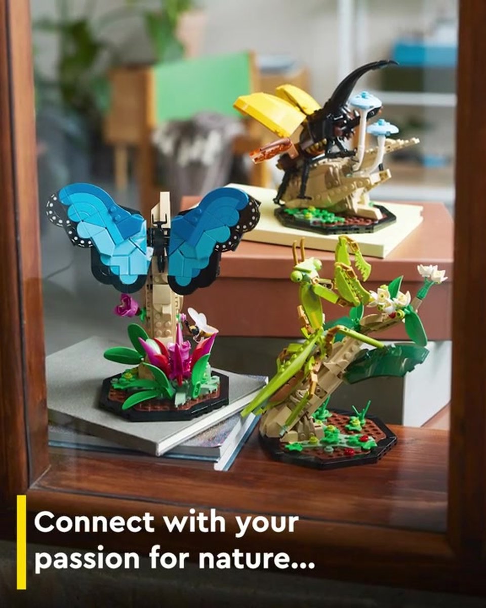 LEGO Ideas Insectencollectie - 21342