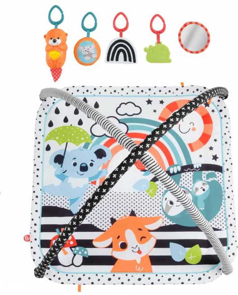 Fisher-Price 3-in-1 Sensorisch Speelkleed