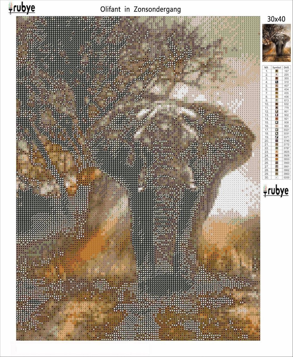 Rubye® Diamond Painting Olifant 30x40cm Volwassenen & Kinderen